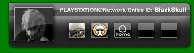 Iconos Playstation Online