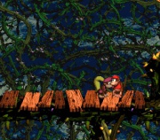 Donkey Kong Country 2-Diddy's Kong Quest (Super Nintendo) juego real 002.jpg