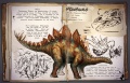 Dossier Stegosaurus.jpg