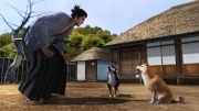 Ryu Ga Gotoku Ishin - Another Life - Pets (4).jpg