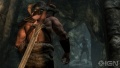 The Elder Scrolls V Skyrim Imagen (12).jpg