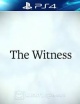 The Witness.jpg