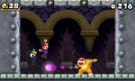 New Super Mario Bros 2 Screenshot 10.jpeg