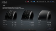 Neumáticos GT5.jpg