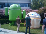 Android Cupcake real.jpg