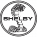 Assetto - Shelby.png