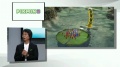 Pikmin 3 - presentación E3 Miyamoto.jpg