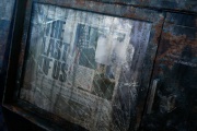 The Last of Us 02.jpg