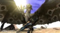 Monster Hunter 3 Tri 06.jpg