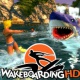 Wakeboarding HD PSN Plus.jpg
