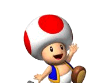 Toadkart1.gif