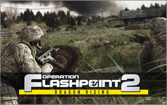 Operation flashpoint foto 1.jpg