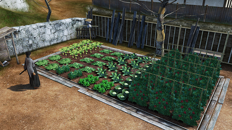 Archivo:Ryu Ga Gotoku Ishin - Another Life - Growing Vegetables (3).jpg