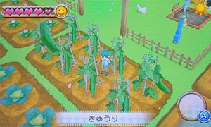 ImagenSaludHarvestMoon3DS.jpg