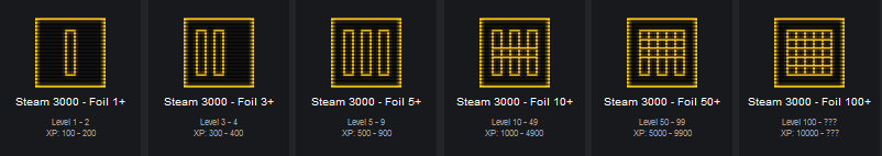 STEAM 3000 Insignia Reflectante.png