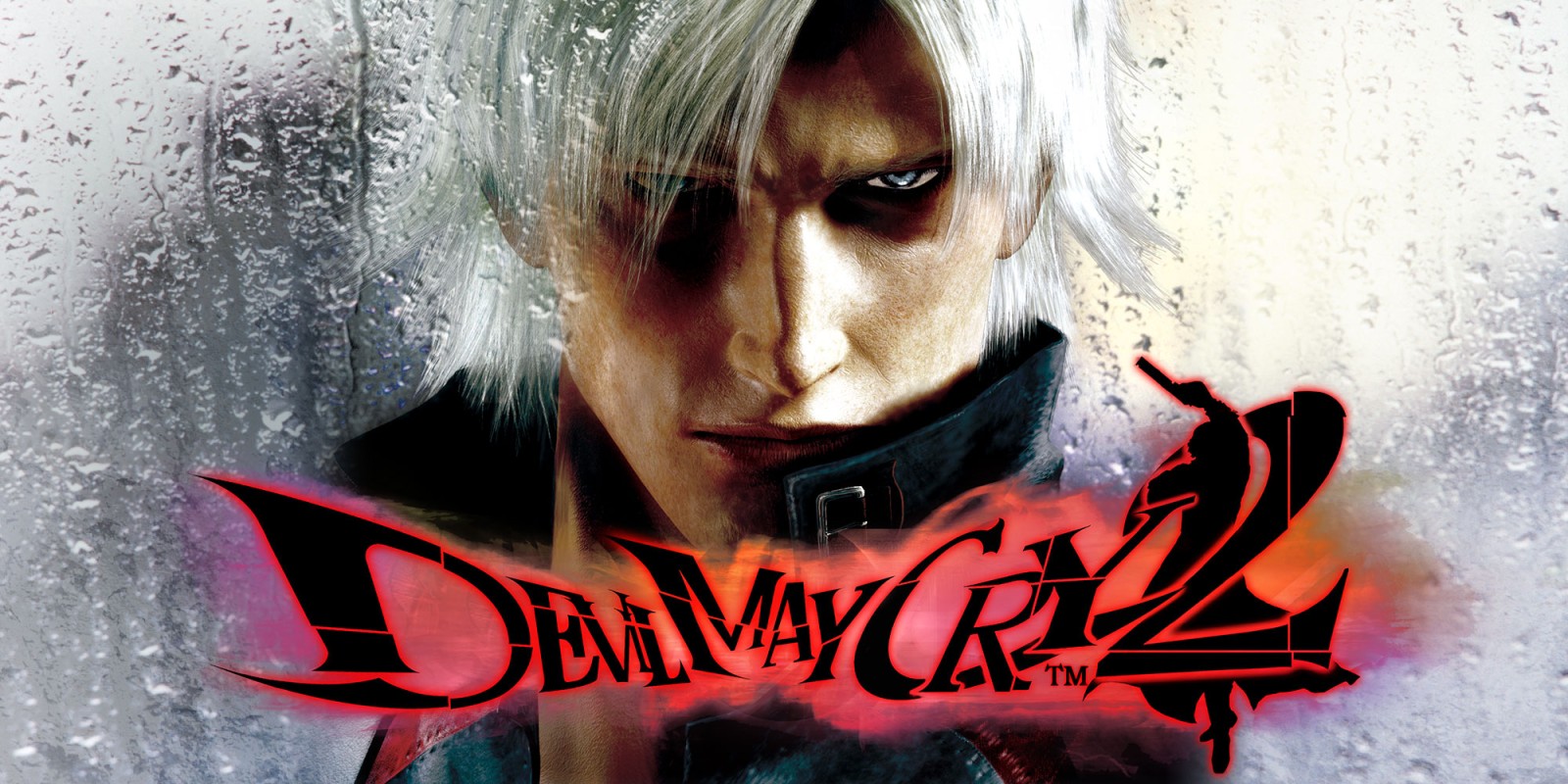 DMC2.jpg