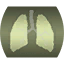 Iron Lungs (Call of Duty 4).png