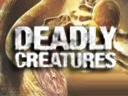 ULoader icono DeadyCreatures 128x96.png