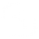 Team sk Gaming.png