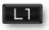 L1