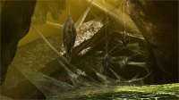 Imagen caverna subterránea 02 juego Monster Hunter 4 Nintendo 3DS.jpg