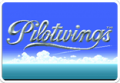 Pilotwings snes.png