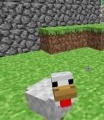 Minecraft Gallina.JPG