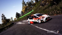 WRC9 img09.jpg