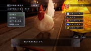 Ryu Ga Gotoku Ishin - Play spot - Carrera de pollos (1).jpg