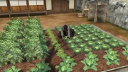 Ryu Ga Gotoku Ishin - Vita App (10).jpg