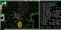 Imagen15 Dwarf Fortress - Videojuego de PC.jpg