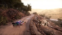 WRC11 img08.jpg