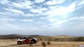 World Rally Championship 2010 (7).jpg