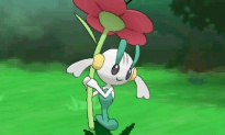 Floette combate 2 pokemon x y.jpg