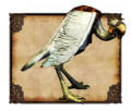 Risen Bestiario Buitre Marino.png