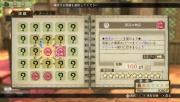 Atelier Escha Logy - Vita (17).jpg