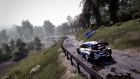 WRC10 img08.jpg