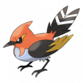 Fletchinder nuevo pokemon X Y.png