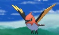 Fletchinder combate pokemon x y.jpg