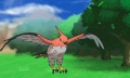 Pantalla acción Talonflame 01 juego Pokémon X Y Nintendo 3DS.jpg