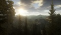 Alan Wake Imagen 4.jpg