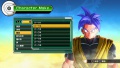 Dragon Ball Xenoverse Editor 17.jpg