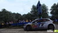 WRC4Pack5Photo7.jpg