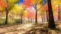 Escenario Bosque - Dead or Alive 5 Ultimate.jpg