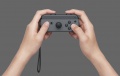Mando Joy-Con derecho gris con correa Nintendo Switch.jpg