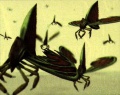 Panzer Dragoon Saga (Saturn) Nanyd.jpg
