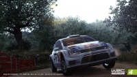 WRC4Pack5Photo9.jpg