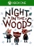 Night in the Woods.jpg