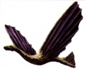 Panzer Dragoon - Dracolyth 000.jpg