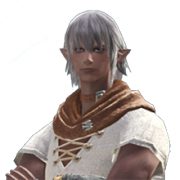 Elezen.png